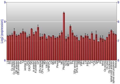 Expression graph