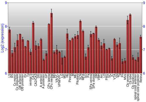 Expression graph