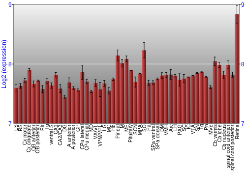 Expression graph