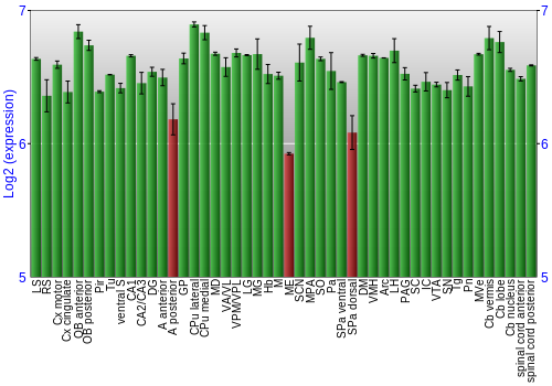 Multi-state expression graph