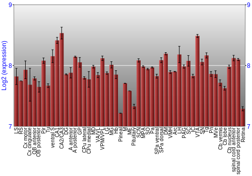Expression graph
