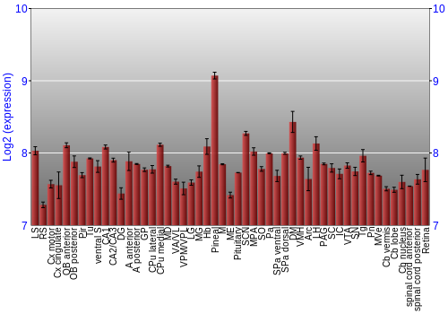 Expression graph