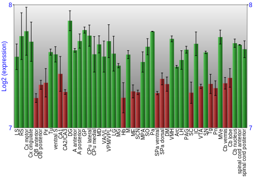 Multi-state expression graph
