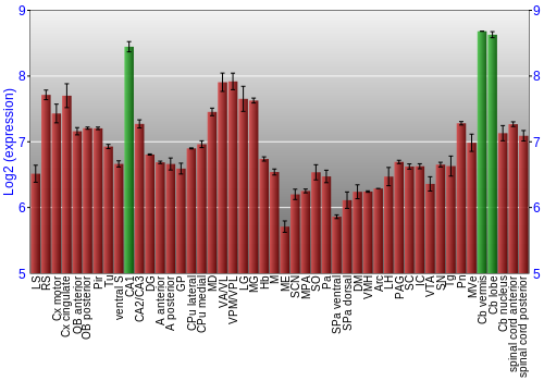 Multi-state expression graph