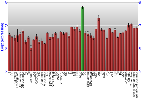 Multi-state expression graph