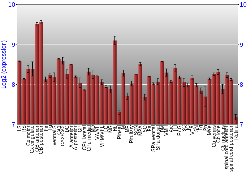 Expression graph