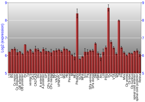 Expression graph