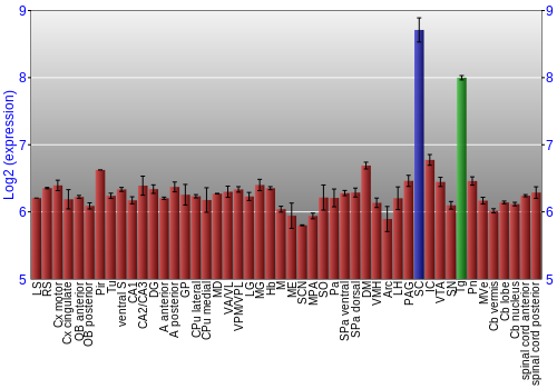 Multi-state expression graph