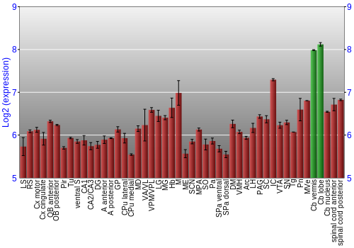 Multi-state expression graph