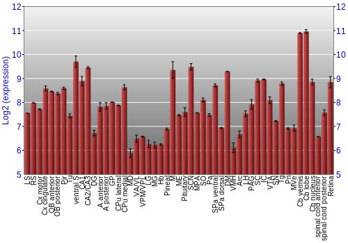 Expression graph