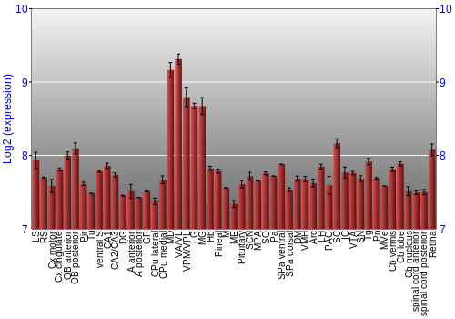 Expression graph