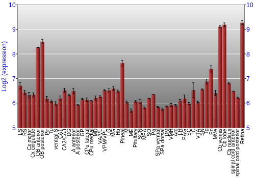 Expression graph