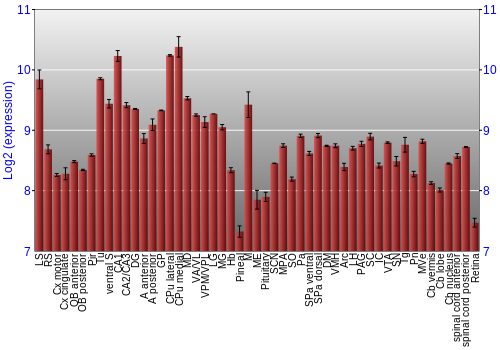 Expression graph