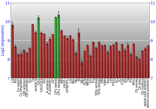 Multi-state expression graph