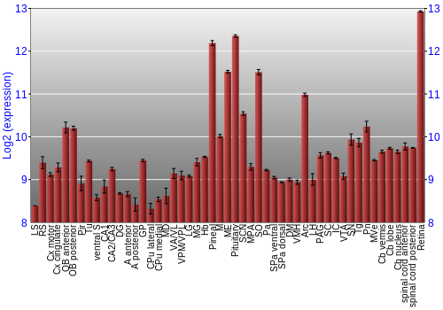 Expression graph
