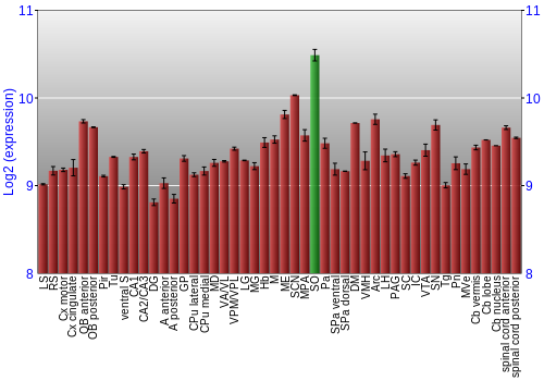 Multi-state expression graph