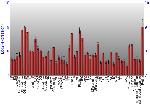 Expression graph