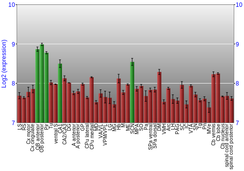 Multi-state expression graph