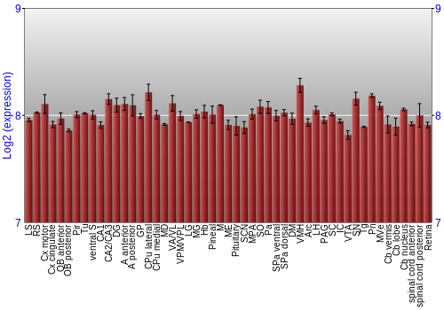 Expression graph