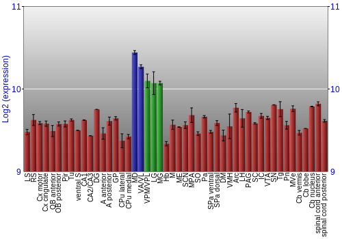 Multi-state expression graph