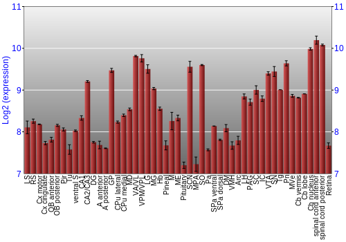 Expression graph