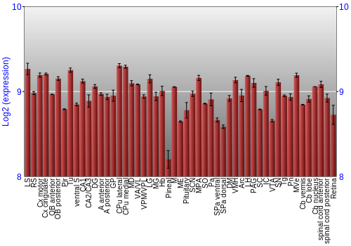 Expression graph