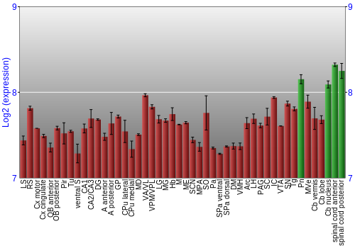 Multi-state expression graph