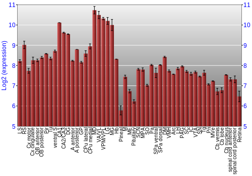 Expression graph
