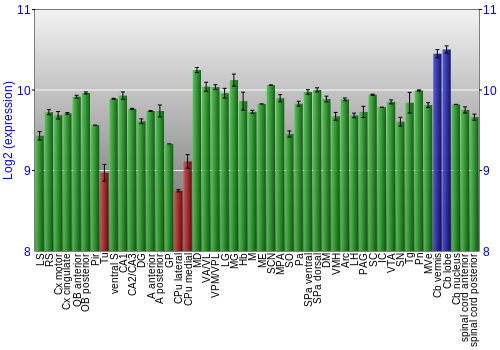 Multi-state expression graph
