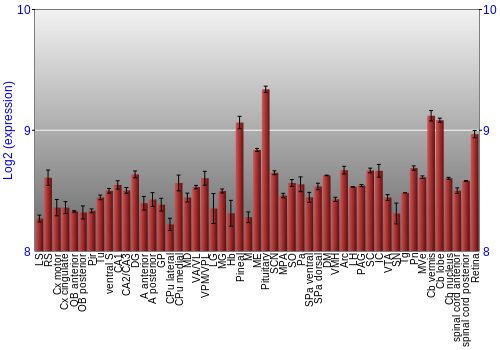 Expression graph