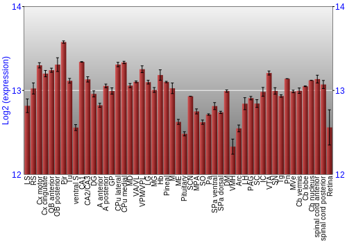 Expression graph