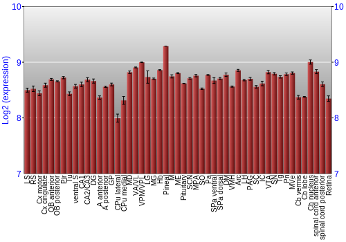 Expression graph