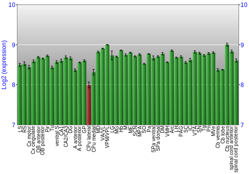 Multi-state expression graph