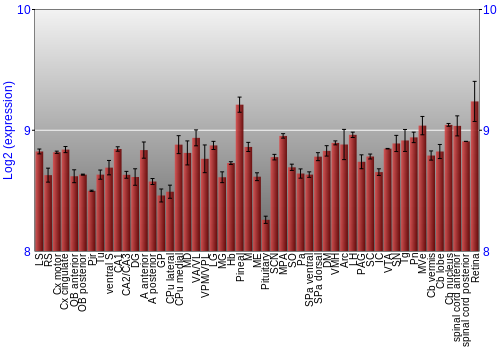 Expression graph