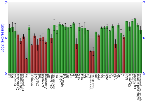 Multi-state expression graph