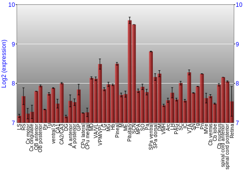 Expression graph