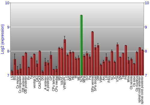 Multi-state expression graph