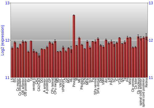 Expression graph