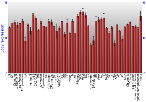 Expression graph