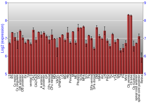 Expression graph