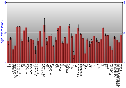 Expression graph