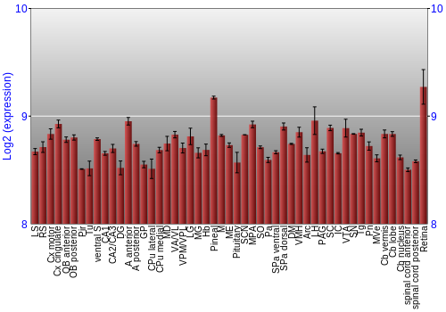 Expression graph