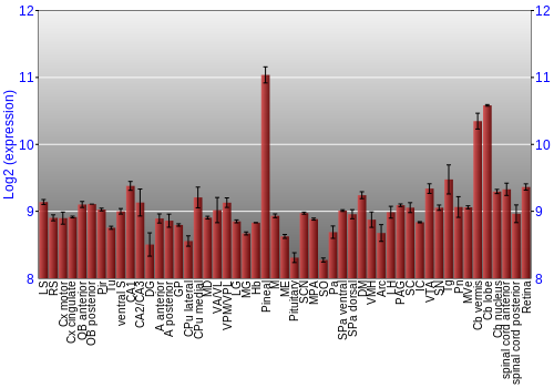 Expression graph
