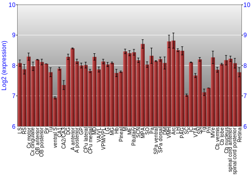 Expression graph