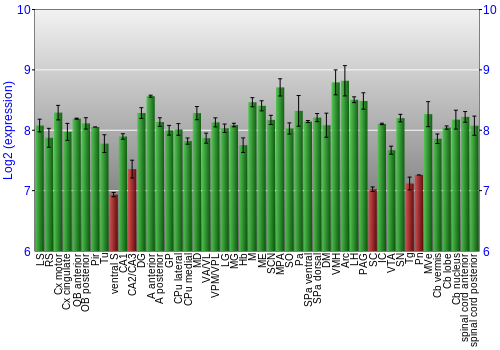Multi-state expression graph