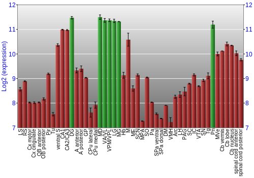 Multi-state expression graph