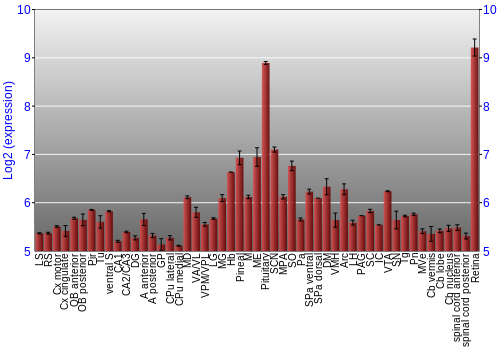 Expression graph
