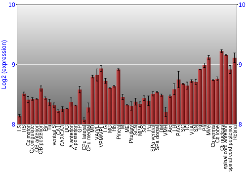 Expression graph