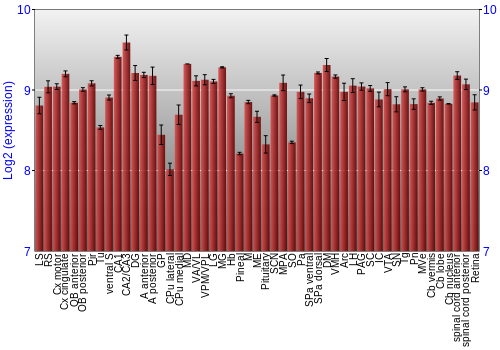 Expression graph