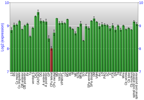 Multi-state expression graph